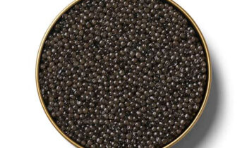 Caviar - Osetra A. Gueldenstaedtii