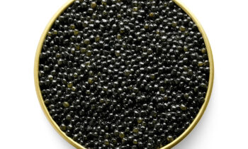 Caviar - Siberian Sturgeon ~ A. Baerii